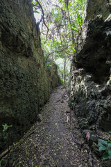 【南大東島】バリバリ岩