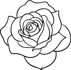 rose outline vector illustration line art coloring book page