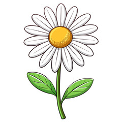 a cheerful daisy illustration with white petals, a bright yellow center, and green leaves and stem no background vector file.