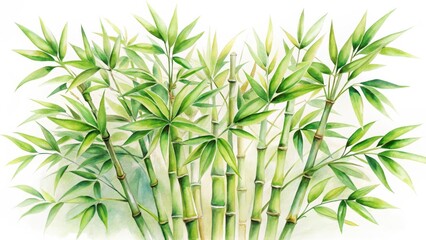 Fototapeta premium Lush Green Bamboo Forest Depiction A Vibrant Watercolor Painting of Graceful Bamboo Stalks and Vivid Green Leaves, Evoking Serenity and Natural Beauty