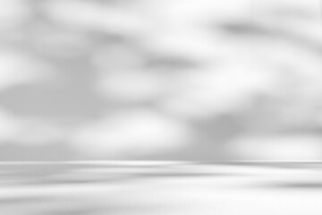 Abstract white studio room with light and shadow from window and tree leaves background for product display presentation