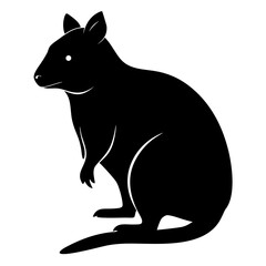 Fototapeta premium Black silhouette of a quokka, an Australian marsupial, sitting gracefully