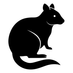 Obraz premium Black silhouette of a quokka, an Australian marsupial, sitting gracefully