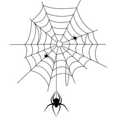 Cobweb with Spider Illustration