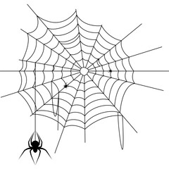 Obraz premium Cobweb with Spider Illustration