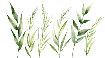 Fototapeta premium Lush green leaves in various shapes and sizes create vibrant natural display, perfect for enhancing any design or project