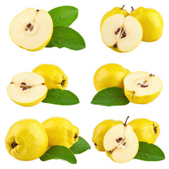 Quince collection with leaves isolated on white or transparent 