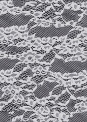 Lace Fabric Swatch for Fashion Design 
