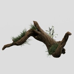 Driftwood aesthetic poster white background