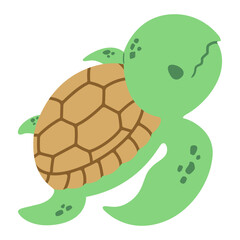 turtle isolated on a white background