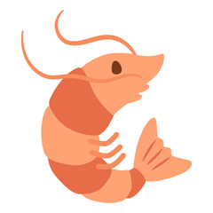 illustration of shrimp