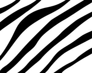 Zebra skin pattern hand drawn 