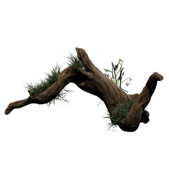 Driftwood aesthetic poster transparent background