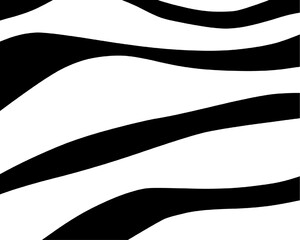 Zebra skin pattern hand drawn 
