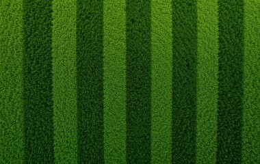Lush Vertical Strips of Precisely Cut Grass Create an Artificial Lawn