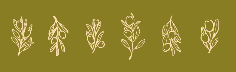 Set of whimsical olive branch with leaves and olive oil logo or olive tree icon, hand drawn olive border botanical medicine herbs in vector format, floral olive frame