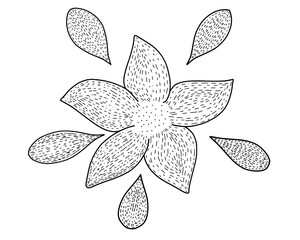image of spotted flower hand drawn 