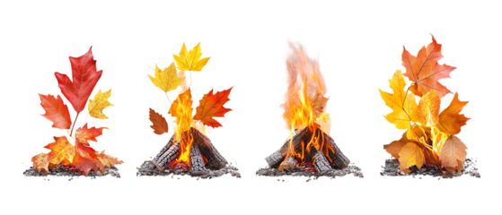 Four small campfires burning amidst autumn leaves demonstrating seasonal outdoor elements isolated on a bright transparent background.