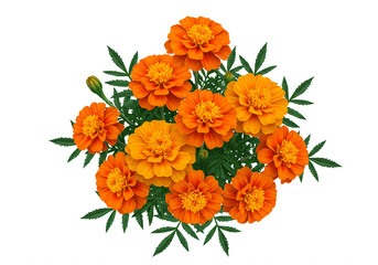 Obraz premium Vibrant Orange Marigolds in Lush Green Bouquet