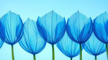 Blue Translucent Flowers: Botanical Beauty