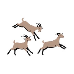 Goats Jumping Illustration on White Background