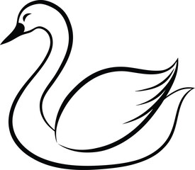 black and white swan
