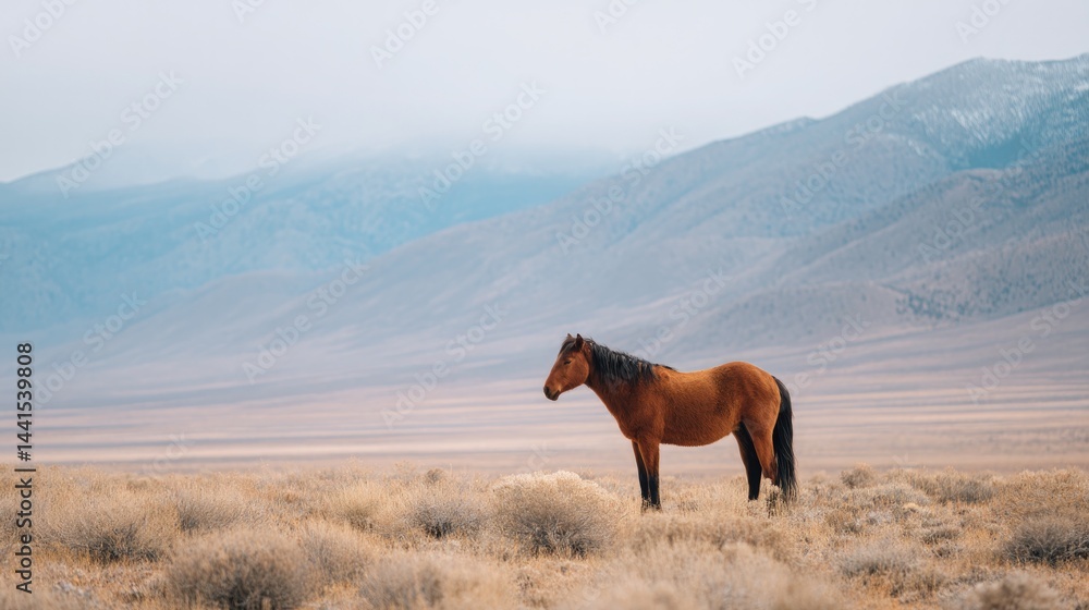 Poster capture minimalistic scene featuring wild horse or bull on open field with ample copy space