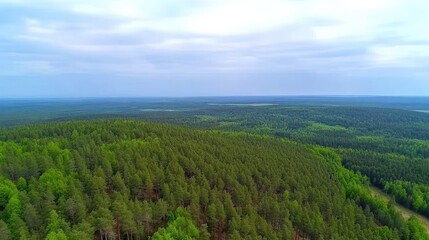 Obraz premium High angle view of a vast forest landscape.