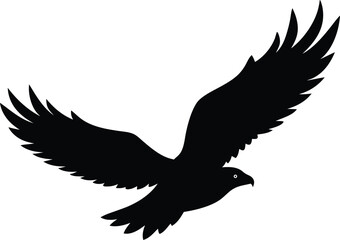 eagle vector illustration