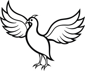 white dove isolated on white