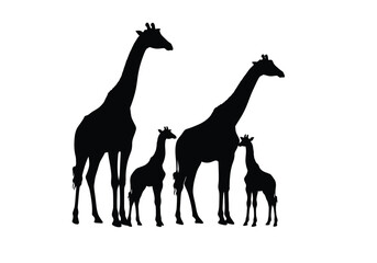 Fototapeta premium Giraffe family silhouette. This image shows a group of giraffes, including adults and calves, in a black silhouette style. Vector clipart illustration design.