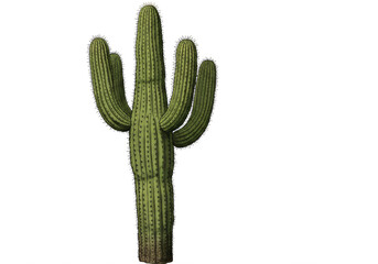 A majestic saguaro cactus standing tall in the desert