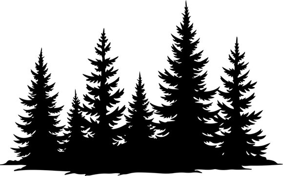 Silhouette of Pine Trees Vector set