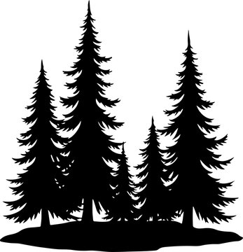 Silhouette of Pine Trees Vector set
