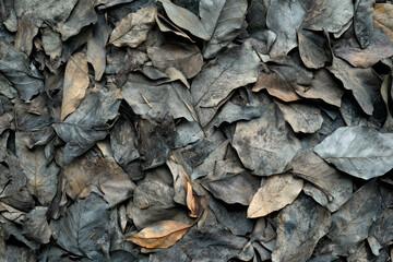 Close up of dry leaves on ground, showcasing variety of textures and colors. natural decay creates rich, earthy atmosphere, perfect for nature themed projects