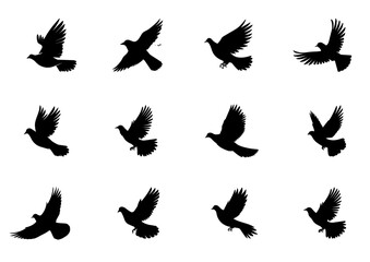 Black dove icon set. Peace symbol collection. Flying pigeon with branch icon set. Vector