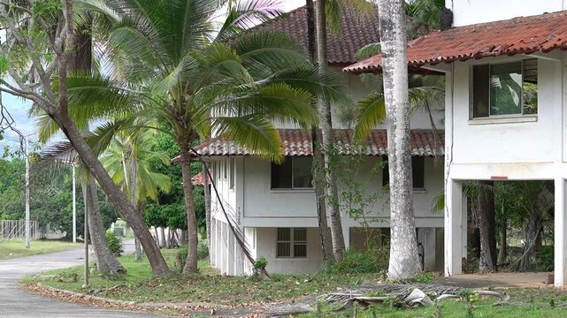 abandoned houses in the jungle