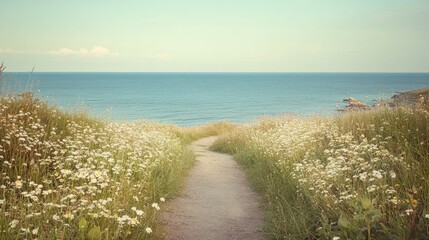Coastal pathway leading to the ocean, surrounded by wildflowers