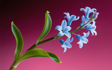 A serene night sky full of bright stars, with a soft glowing full moon shining 