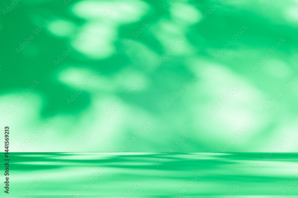 Poster Wall interior background, studio and backdrops show products. with leaf shadow from window color green and white. background for text insertion and presentation of product	
