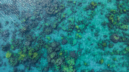 Top view. Summer sea water, blue surface. The water is clear with ripples and sparkles in the sunlight and you can see coral under the sea.