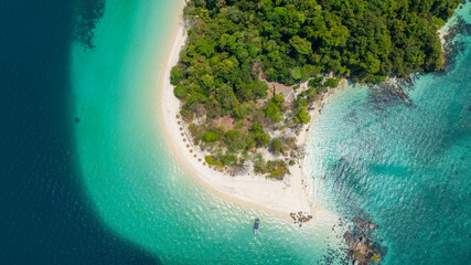 Aerial view of the dark green forest and the sea. Natural ecosystems of forests and oceans. concept...