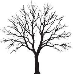 Silhouette of a leafless tree against a white background