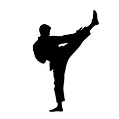 Martial artist performing high kick pose