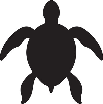 sea turtle vector