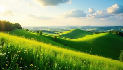 Obraz premium Rolling green hills, Sk?ne nature reserve Sunlight illuminates gentle slopes , beautiful, wonderful