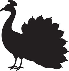 Peacock Feather Vector Art, Icons