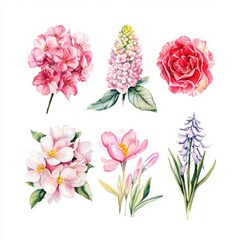 A collection of six watercolor flower illustrations, each with delicate pink, purple, and red hues on a white background.