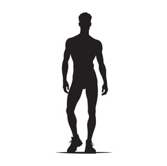 Male Model silhouette vector illustration 