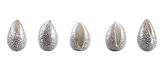 Pack of Chia Seed Against Transparent Background for Health Branding, Superfood Promotion, or Organic Design Projects